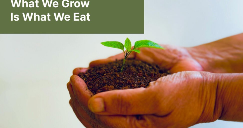 Bhumiyinda Bhayigae – The Philosophy Behind Our Farming