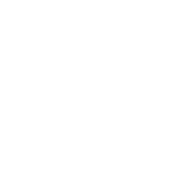 Block <span>Jaggery</span>