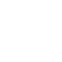 Powder <span>Jaggery</span>